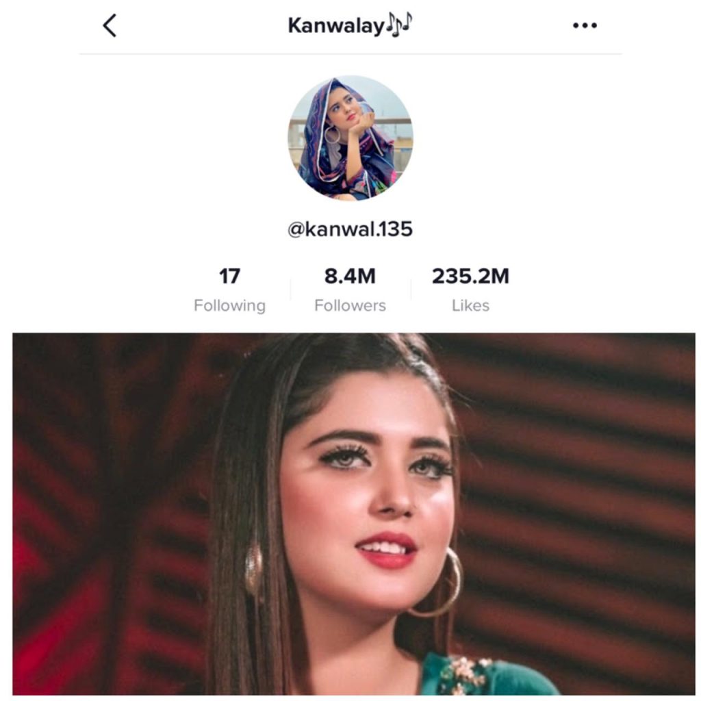 The Game Changers: 14 Pakistani TikTokers Who Are Ruling Social Media Right  Now! - Diva Magazine